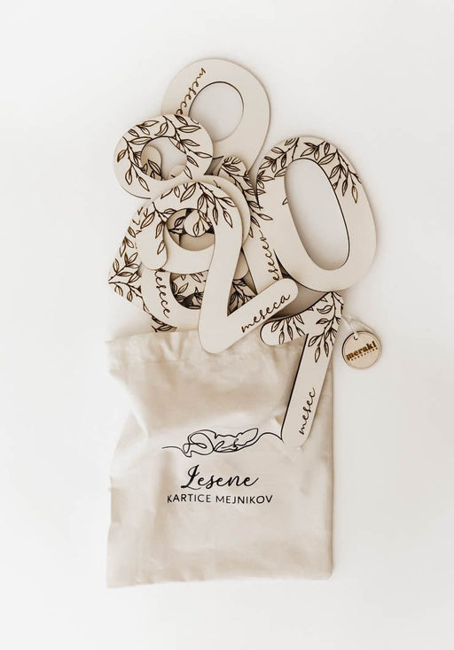 Mesečne kartice mejnikov - milestone kartice - Meraki's Shop